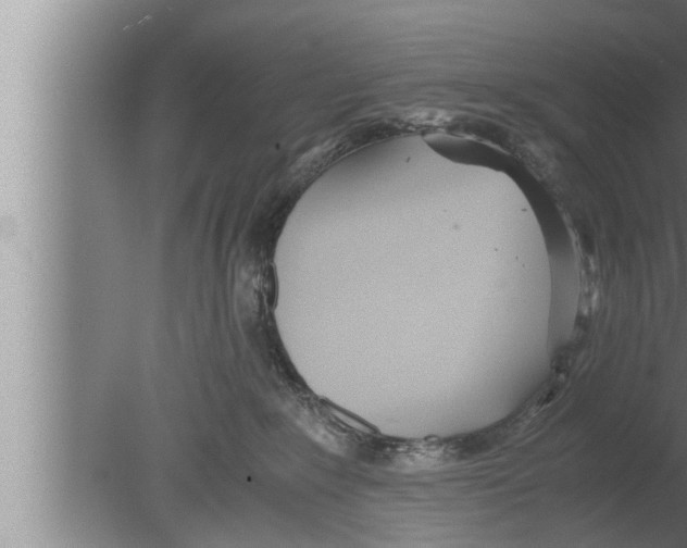 X0000080160235200612302201