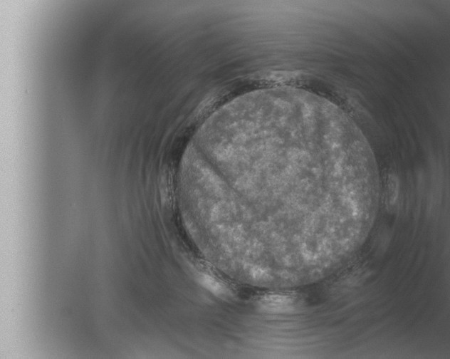 X0000080160236200612302201