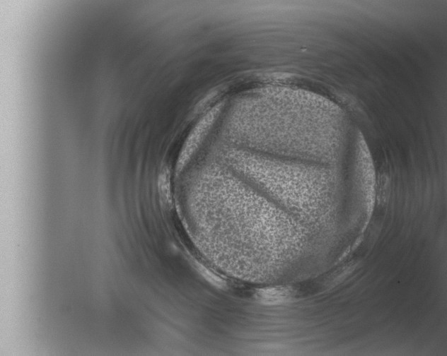 X0000080160238200612302201