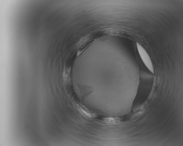 X0000080160239200612302201