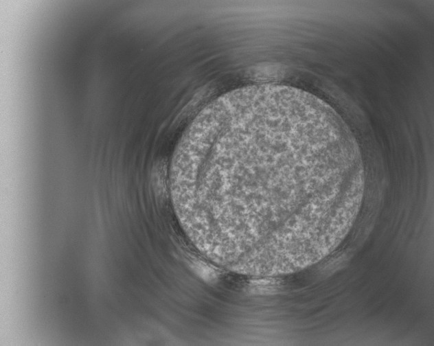 X0000080160240200612302201