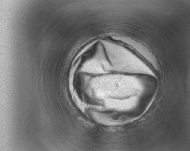 X0000080160241200612302201