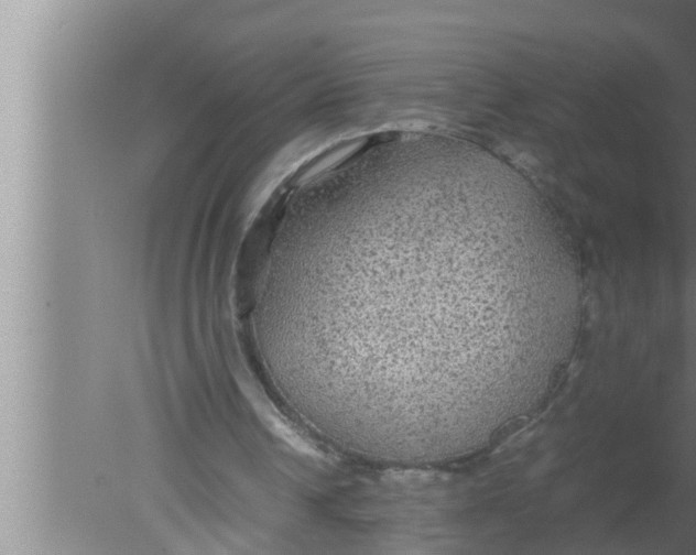 X0000080160242200612302201