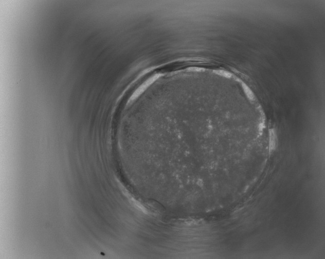 X0000080160243200612302201