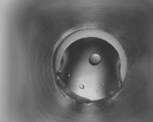 X0000080160244200612302201