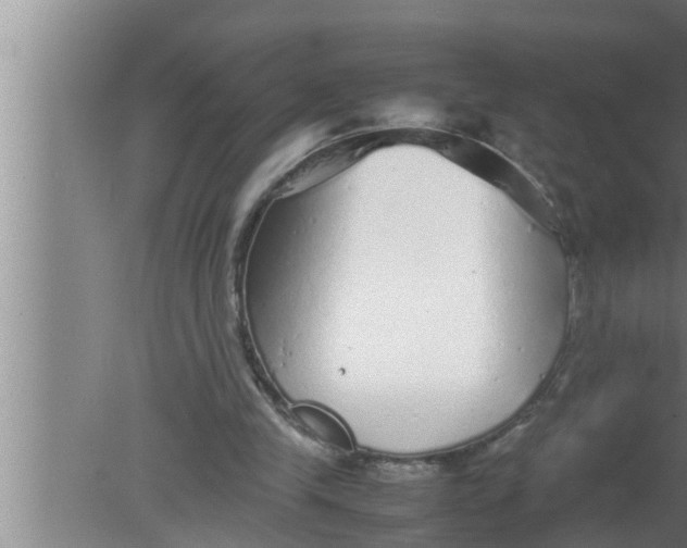 X0000080160245200612302201