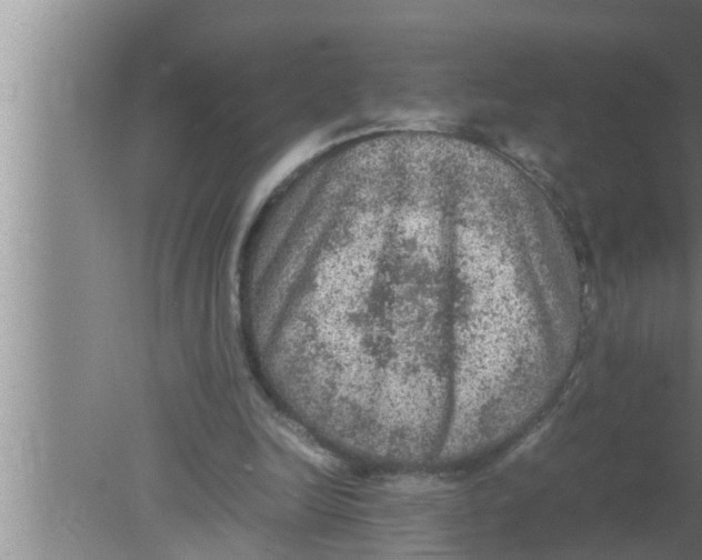 X0000080160246200612302201