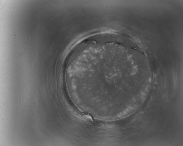 X0000080160247200612302201