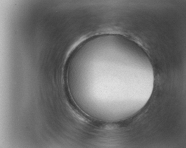 X0000080160248200612302201