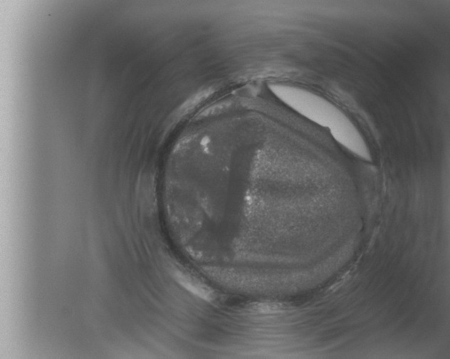 X0000080160250200612302201