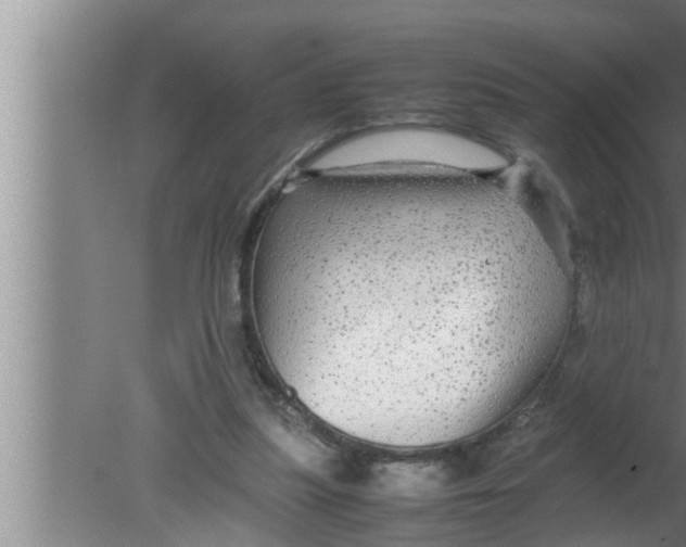 X0000080160251200612302201