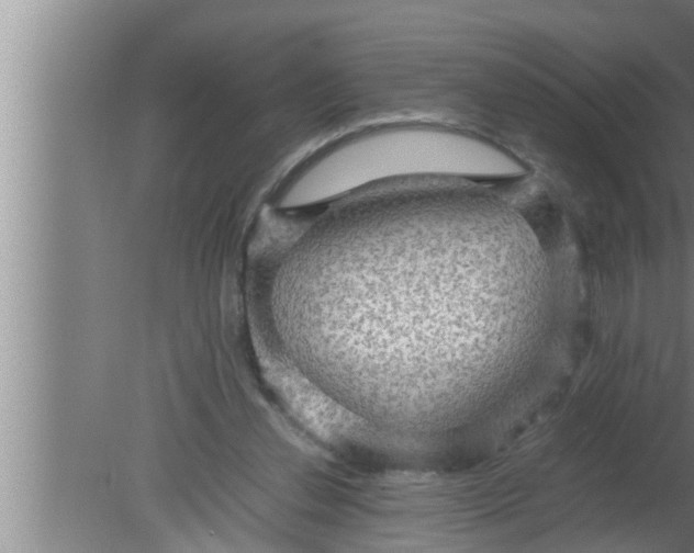 X0000080160252200612302201