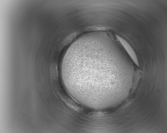 X0000080160254200612302201