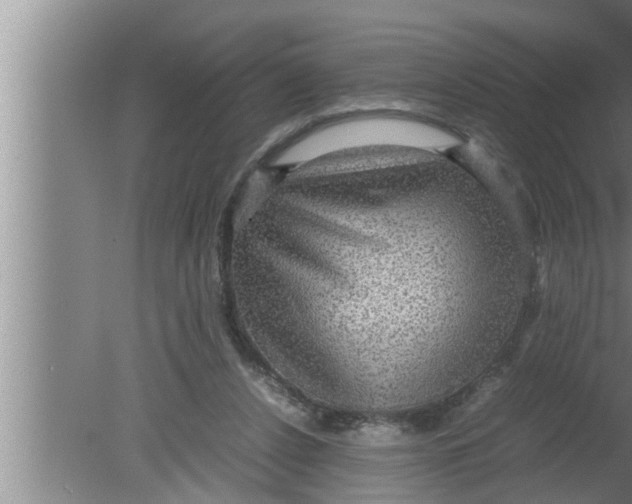 X0000080160256200612302201