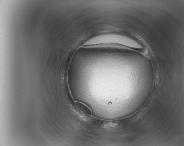 X0000080160257200612302201