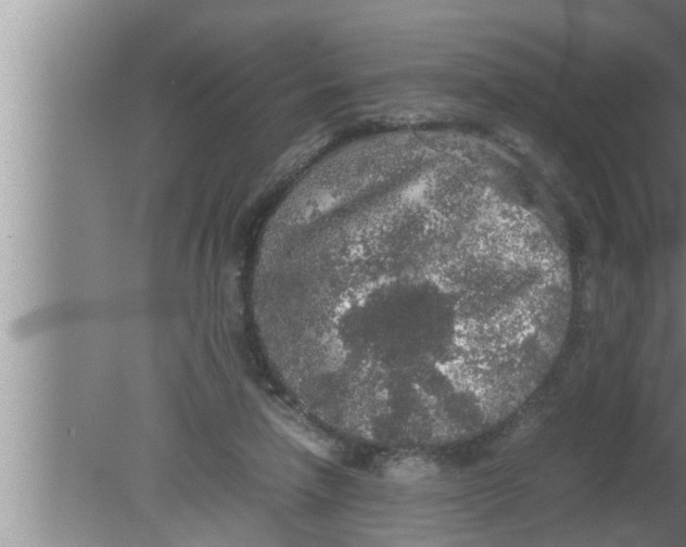 X0000080160258200612302201