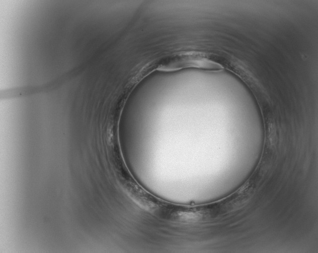 X0000080160259200612302201