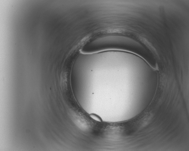 X0000080160260200612302201