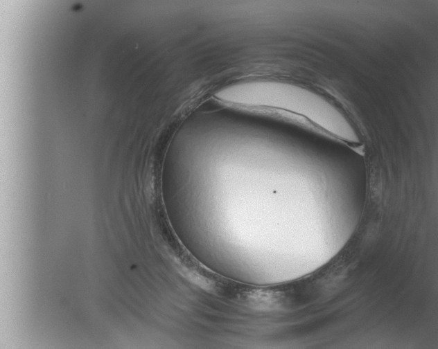 X0000080160261200612302201