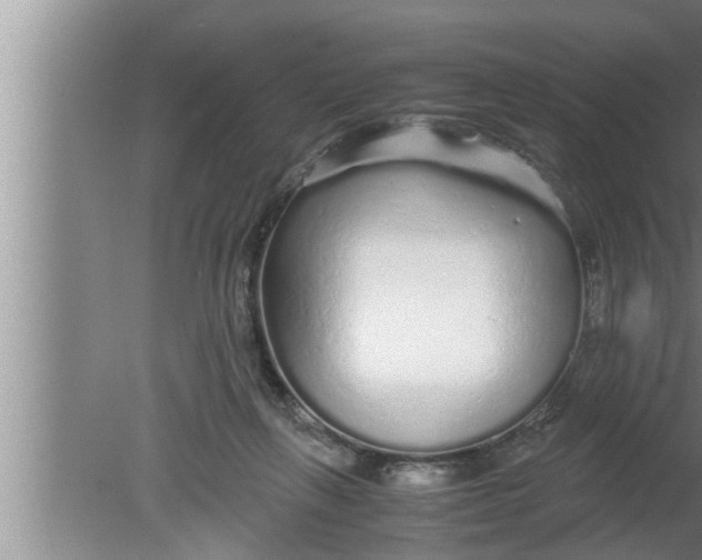 X0000080160263200612302201