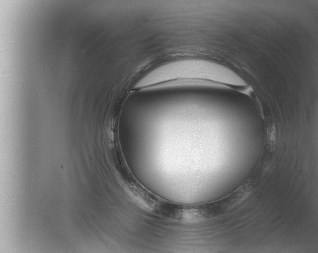 X0000080160264200612302201