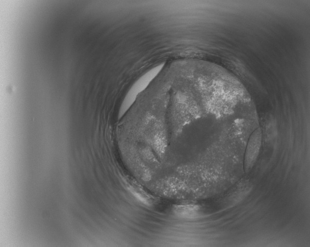 X0000080160266200612302201