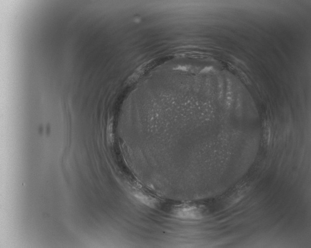 X0000080160267200612302201