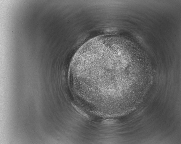 X0000080160269200612302201