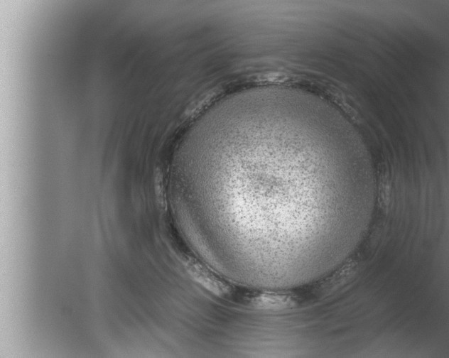 X0000080160270200612302201