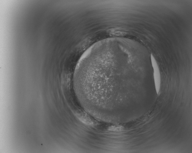 X0000080160271200612302201