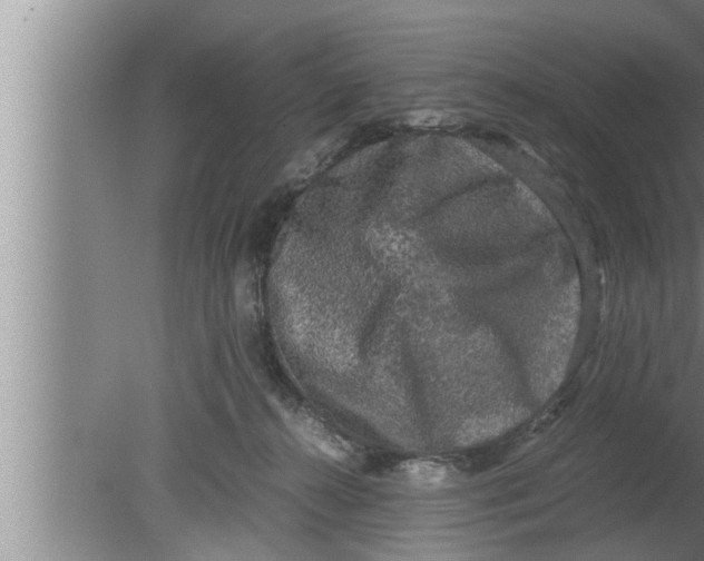 X0000080160272200612302201