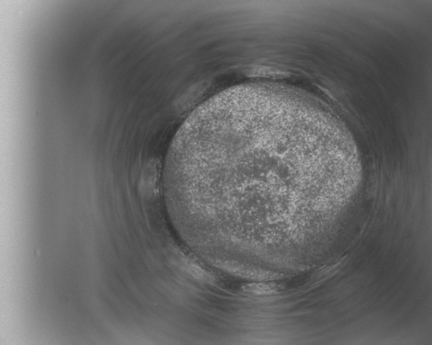 X0000080160273200612302201