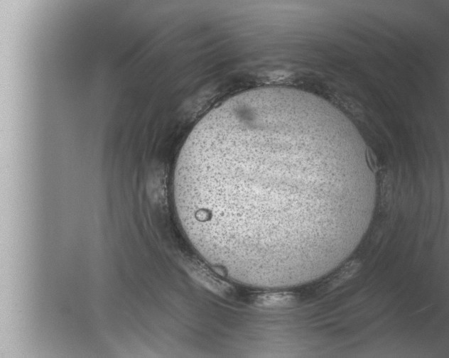 X0000080160274200612302201