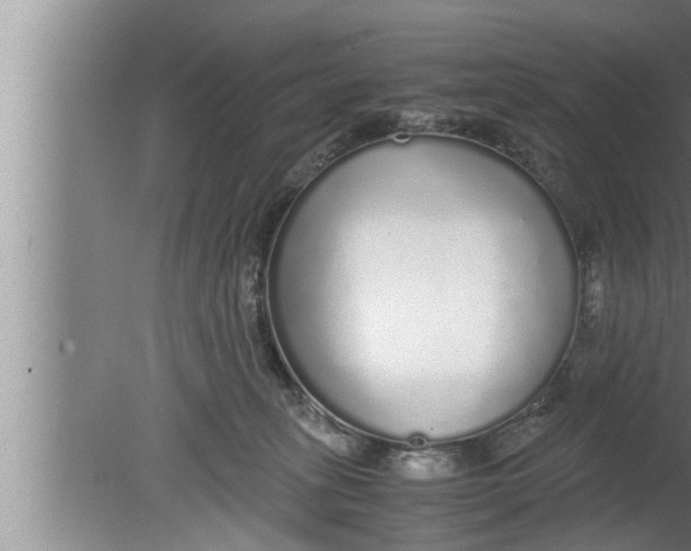 X0000080160275200612302201