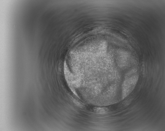 X0000080160277200612302201