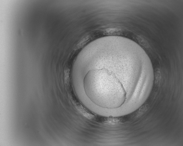 X0000080160278200612302201