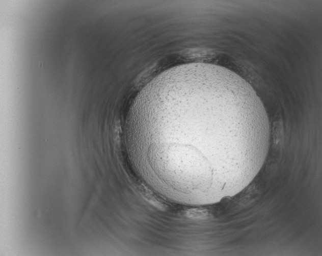 X0000080160279200612302201