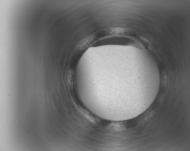 X0000080160280200612302201