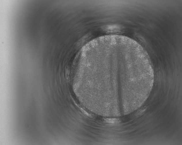 X0000080160281200612302201