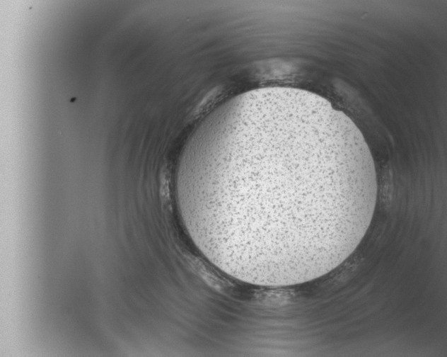 X0000080160282200612302201