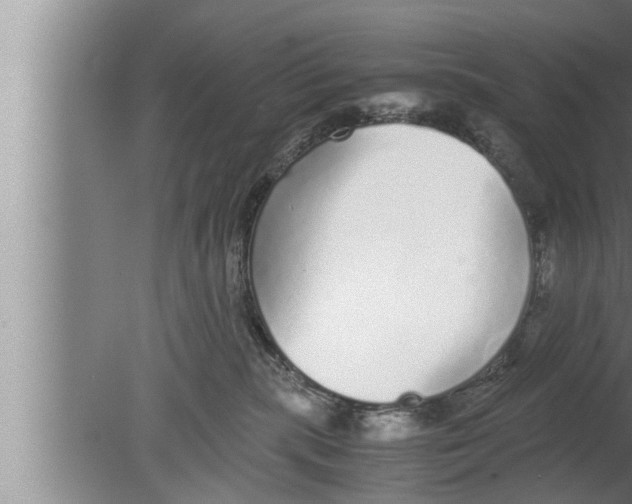 X0000080160283200612302201