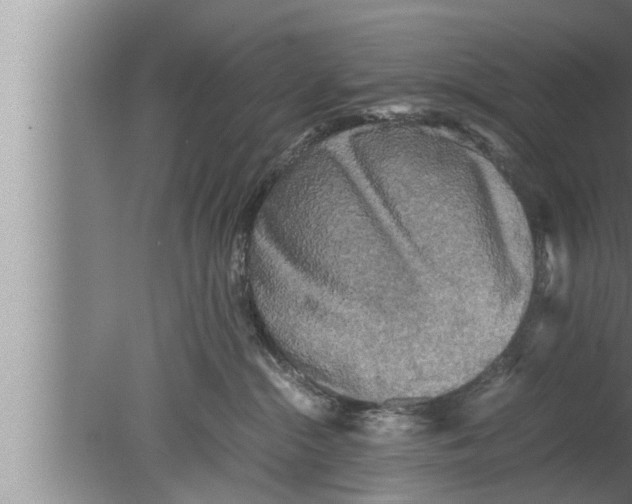 X0000080160284200612302201