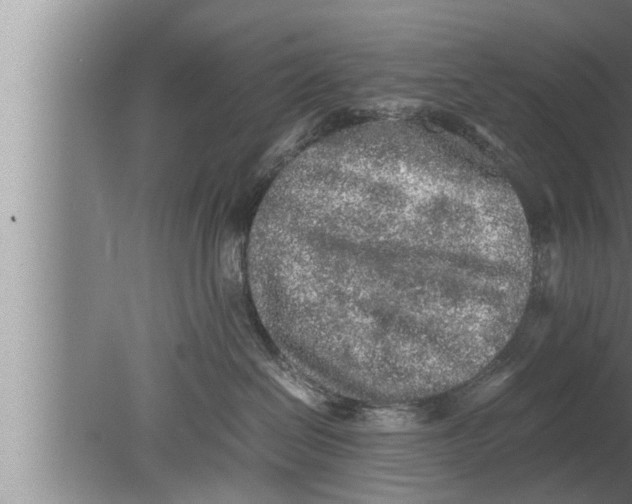 X0000080160286200612302201