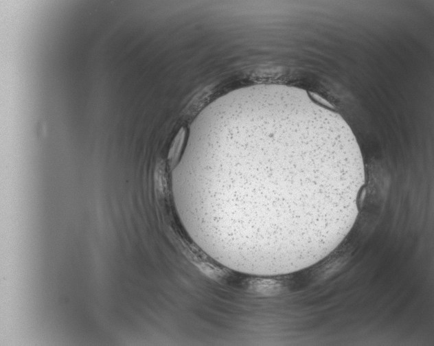 X0000080160287200612302201