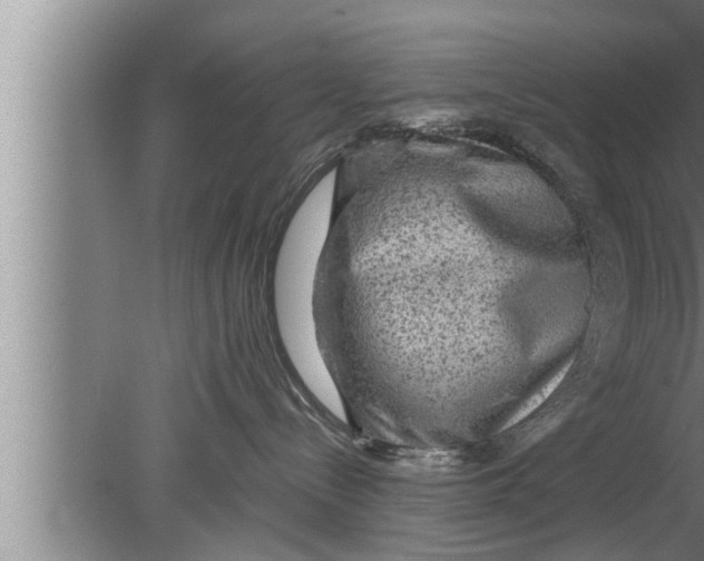 X0000080160288200612302201