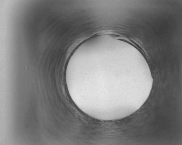 X0000080160289200612302200