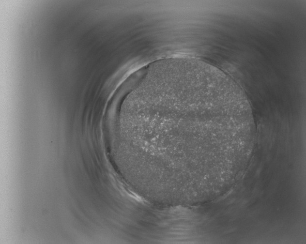 X0000080160290200612302200