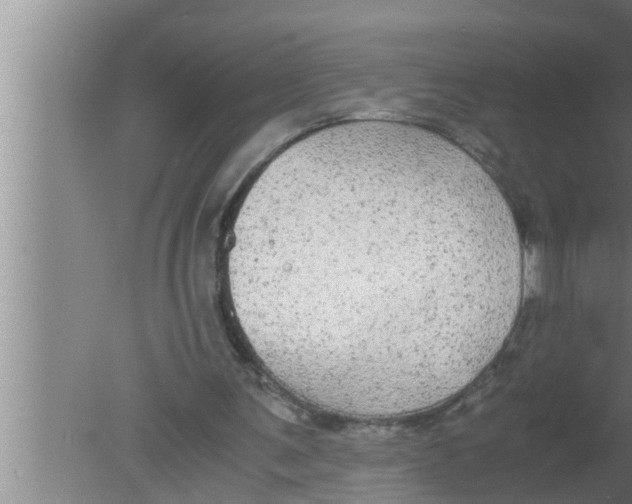 X0000080160291200612302200