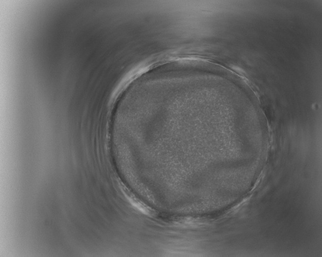 X0000080160293200612302200