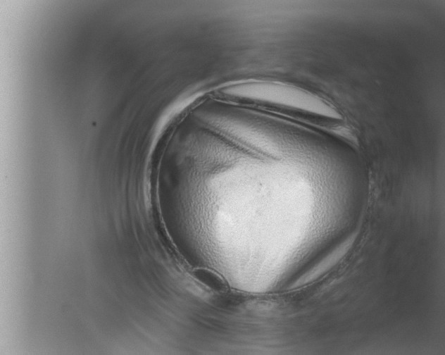 X0000080160294200612302200